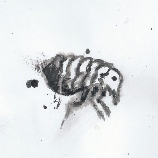 Flöhe sind lästige Schädlinge, die einen um den ruhigen Schlaf brignen können.