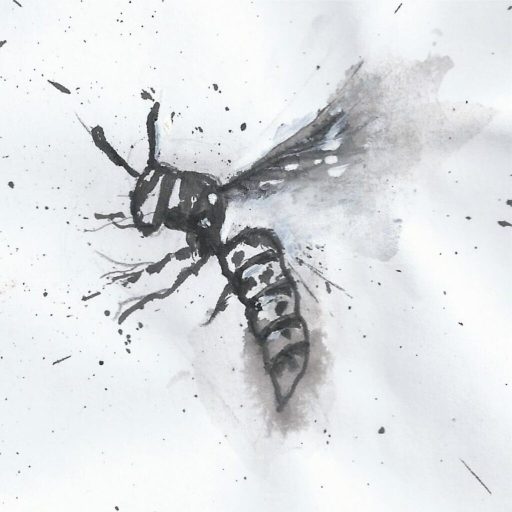 Wespen sind störende Schädlinge, die am meisten im Sommer auftreten.